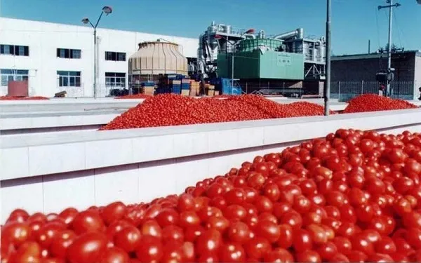 رب گوجه فرنگی بدون روغن | قیمت مناسب خرید عالی