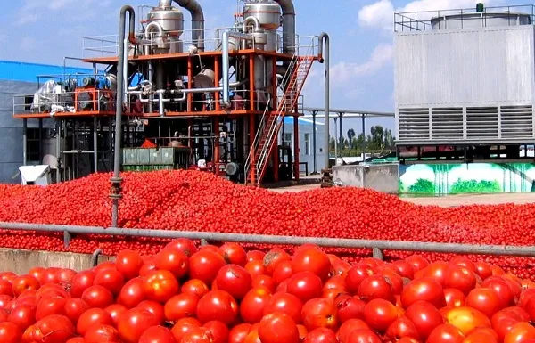 رب گوجه فرنگی برای پوست | قیمت مناسب خرید عالی