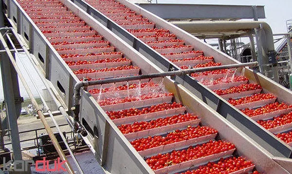 خرید و قیمت رب گوجه فرنگی غلیظ