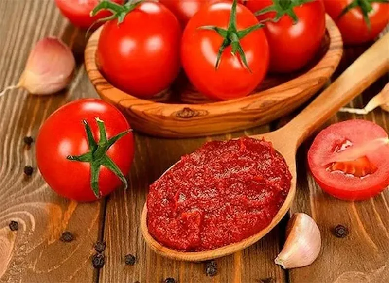 کپک زدن رب گوجه فرنگی صنعتی | قیمت عالی