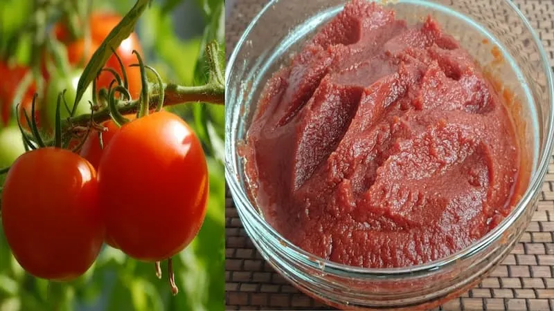 قیمت و خرید رب گوجه فرنگی تند + فروش ارزان